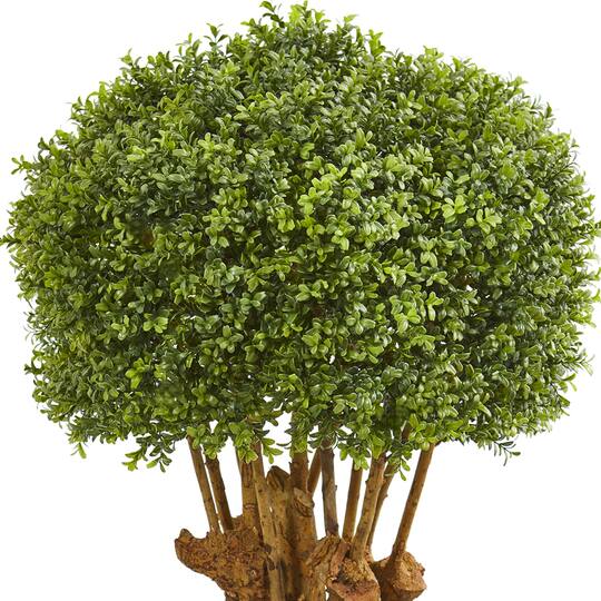 3.2ft. Boxwood Topiary Tree in Decorative Bowl